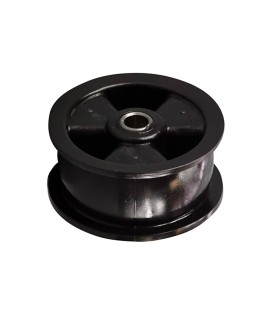 Rodillo tensor correa secadora ZANUSSI 1250125034
