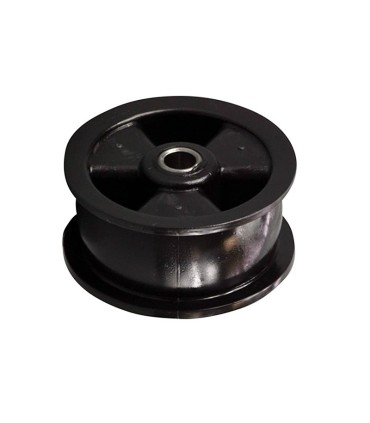 Rodillo tensor correa secadora ZANUSSI 1250125034
