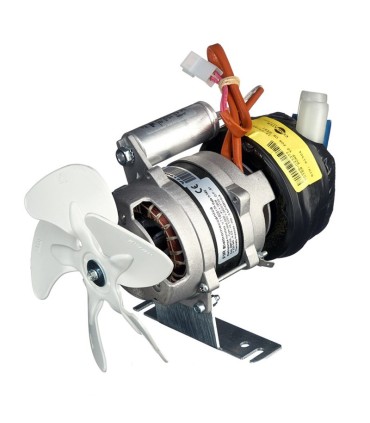 Bomba fabricador hielo Brema  C23377