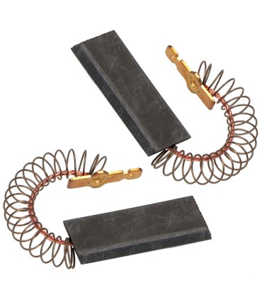 Escobillas motor lavadora Bosch 00154740