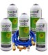 Gas refrigerante R12 R134A Gasica D2 pack 5 botellas Isobutano R600A + manguera carga 1/4"-1/4" + válvula