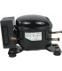 Compresor frigorífico R134A QDZH35G